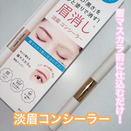淡眉コンシーラー/シークレットサロン/眉マスカラを使ったクチコミ(1枚目)