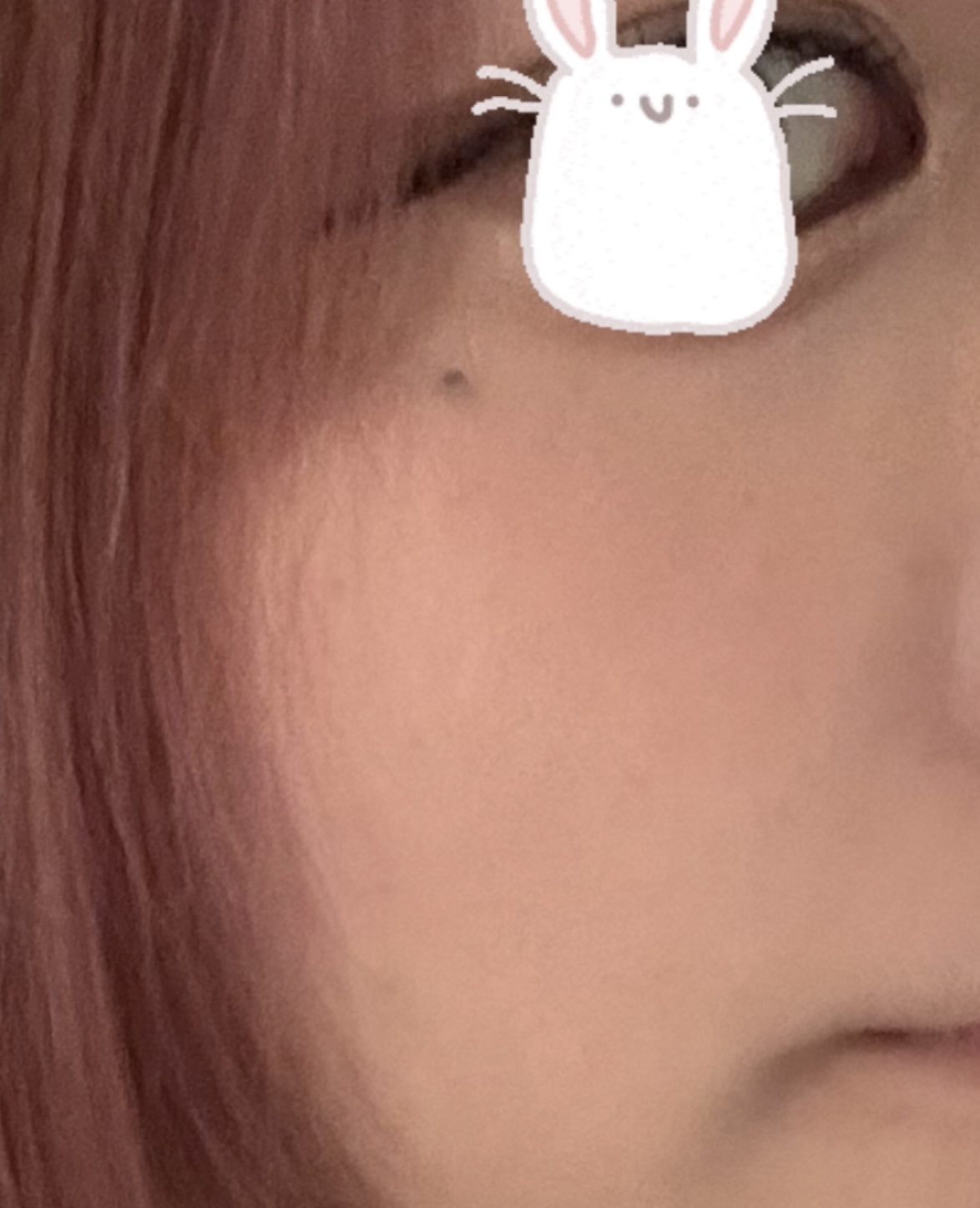 ベターザンチーク N02 VINE NUDE/rom&nd/パウダーチークを使ったクチコミ（2枚目）