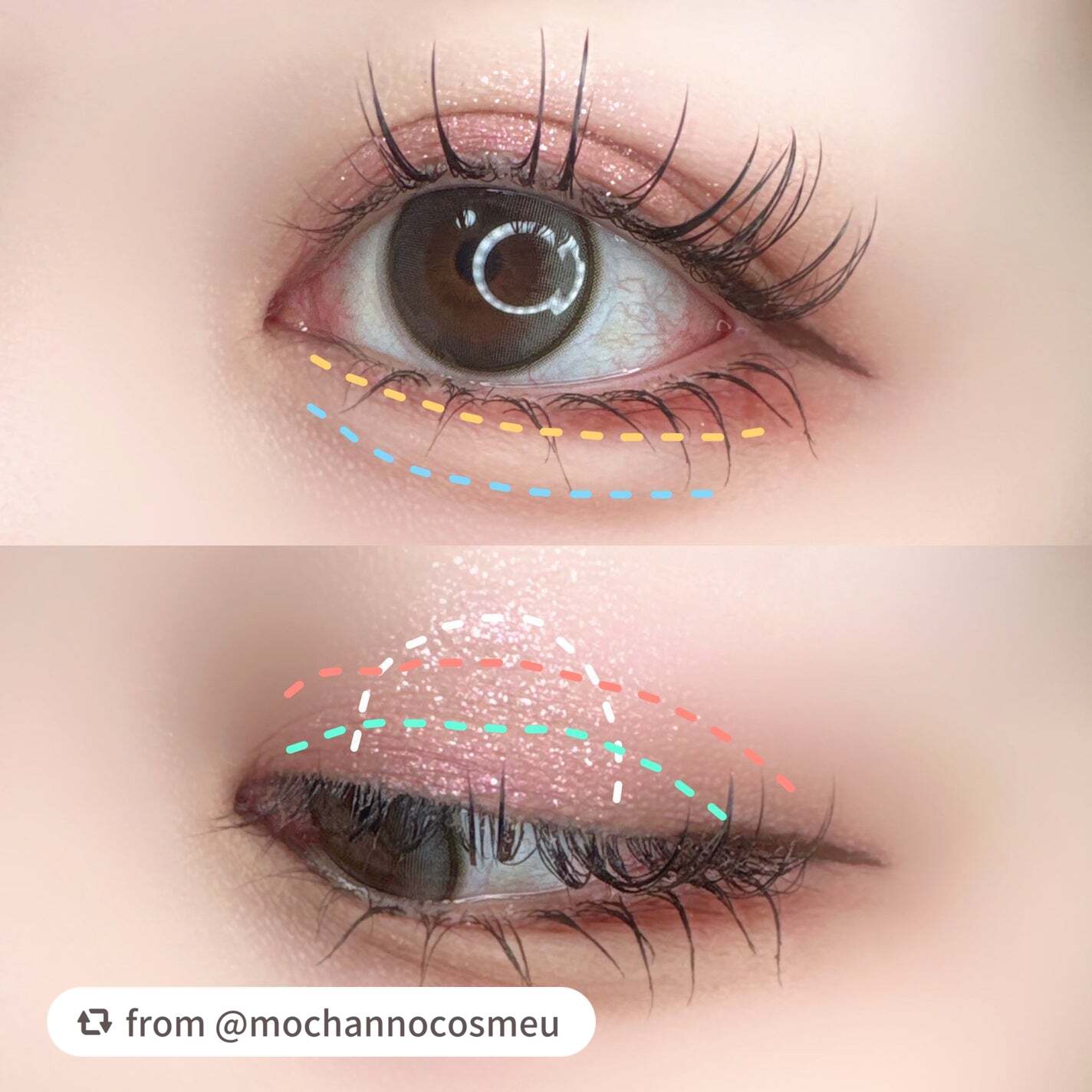 エクスプローラ12色 動物アイシャドウパレット/PERFECT DIARY/アイシャドウパレットを使ったクチコミ(3枚目)