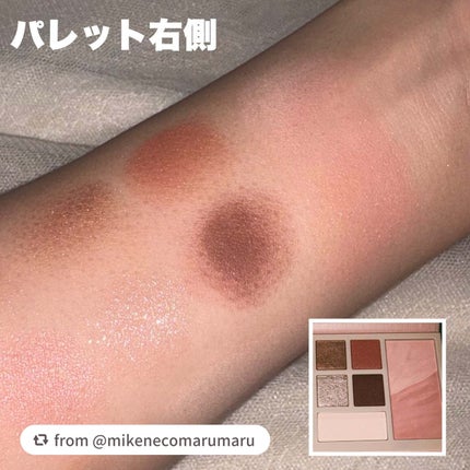 デザイナーアイズ&チークパレット/PERFECT DIARY/アイシャドウを使ったクチコミ(7枚目)