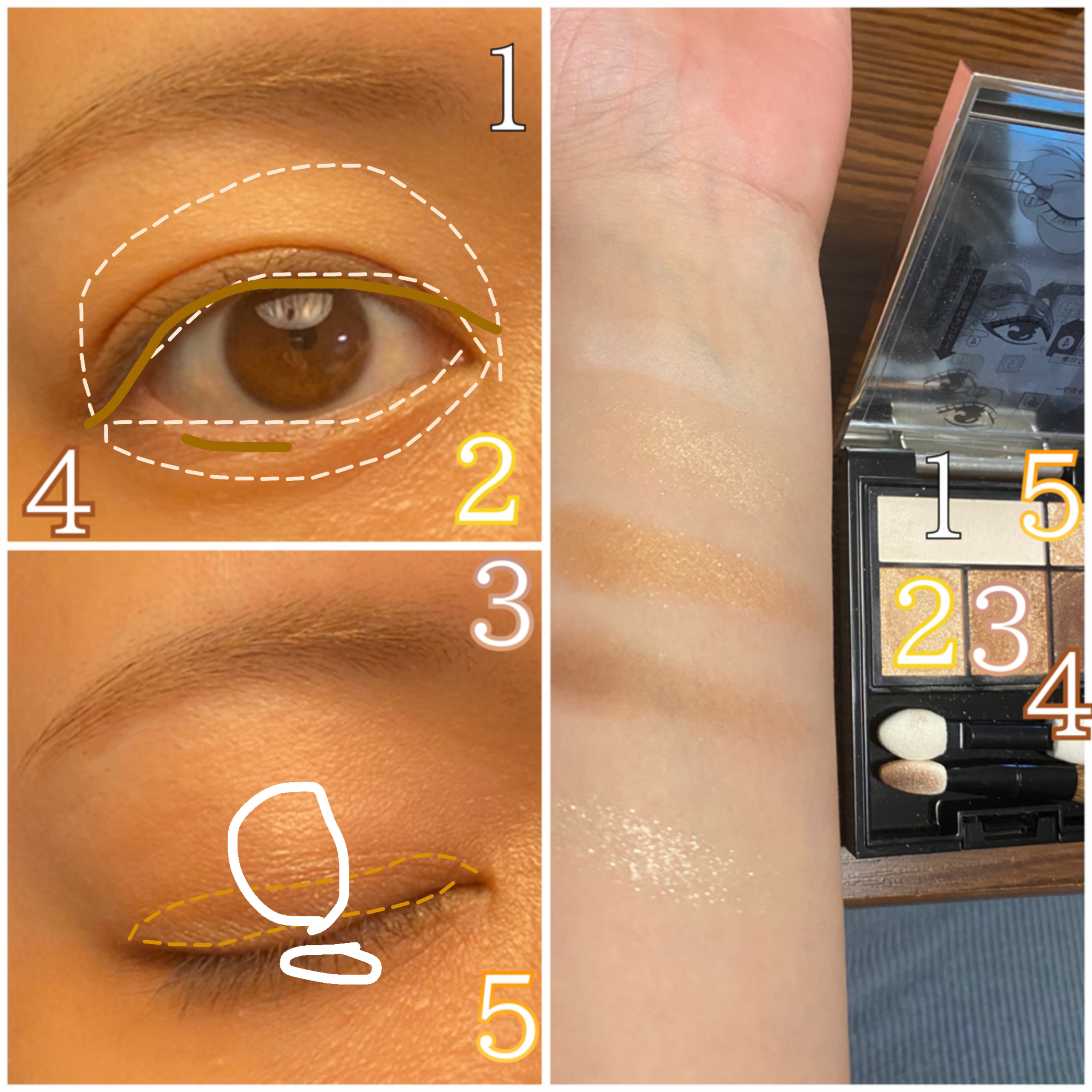 ドラマティックスタイリングアイズ/マキアージュ/アイシャドウパレットを使ったクチコミ（3枚目）