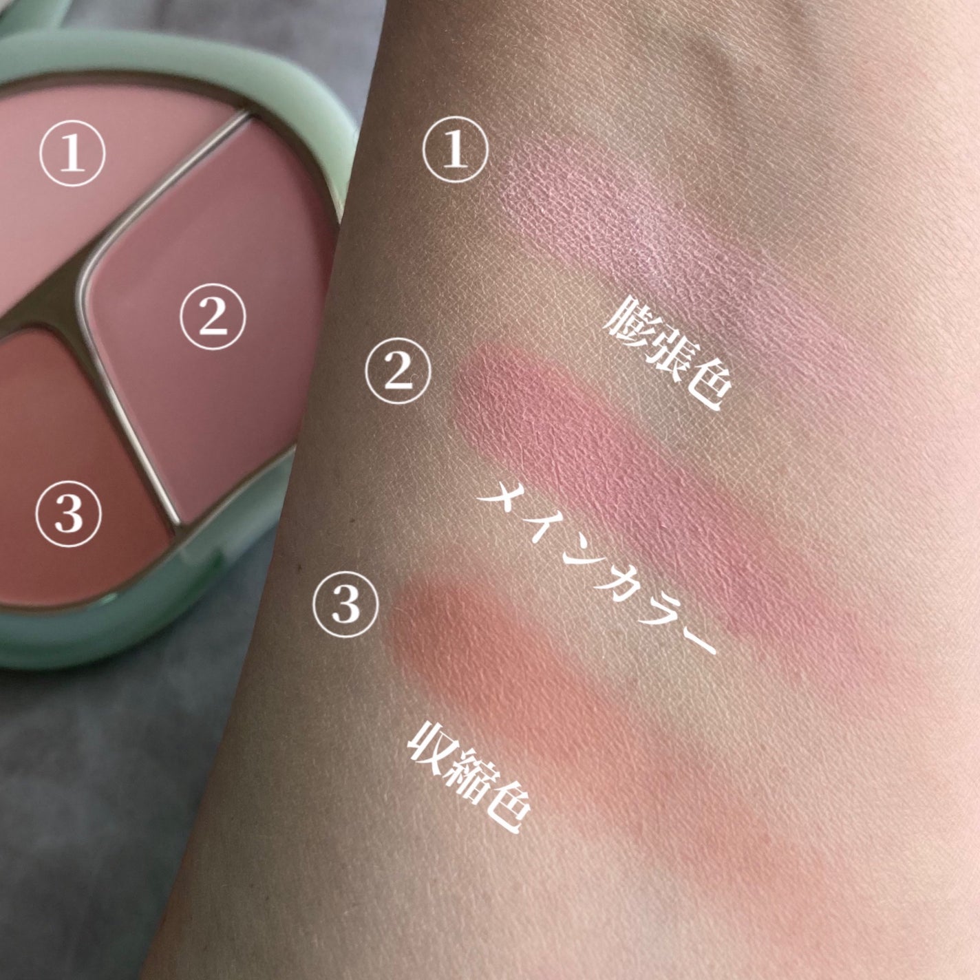 TIMAGE 3色チークパレット/TIMAGE/パウダーチークを使ったクチコミ(2枚目)