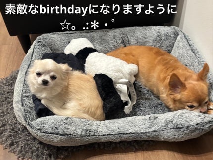 ヴェルニ/CHANEL/マニキュアを使ったクチコミ(7枚目)