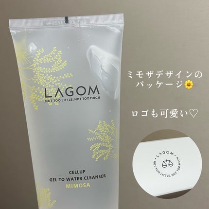 ジェルトゥウォーター クレンザー (MI)/LAGOM /その他洗顔料を使ったクチコミ(4枚目)