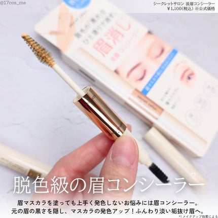 淡眉コンシーラー/シークレットサロン/眉マスカラを使ったクチコミ(2枚目)