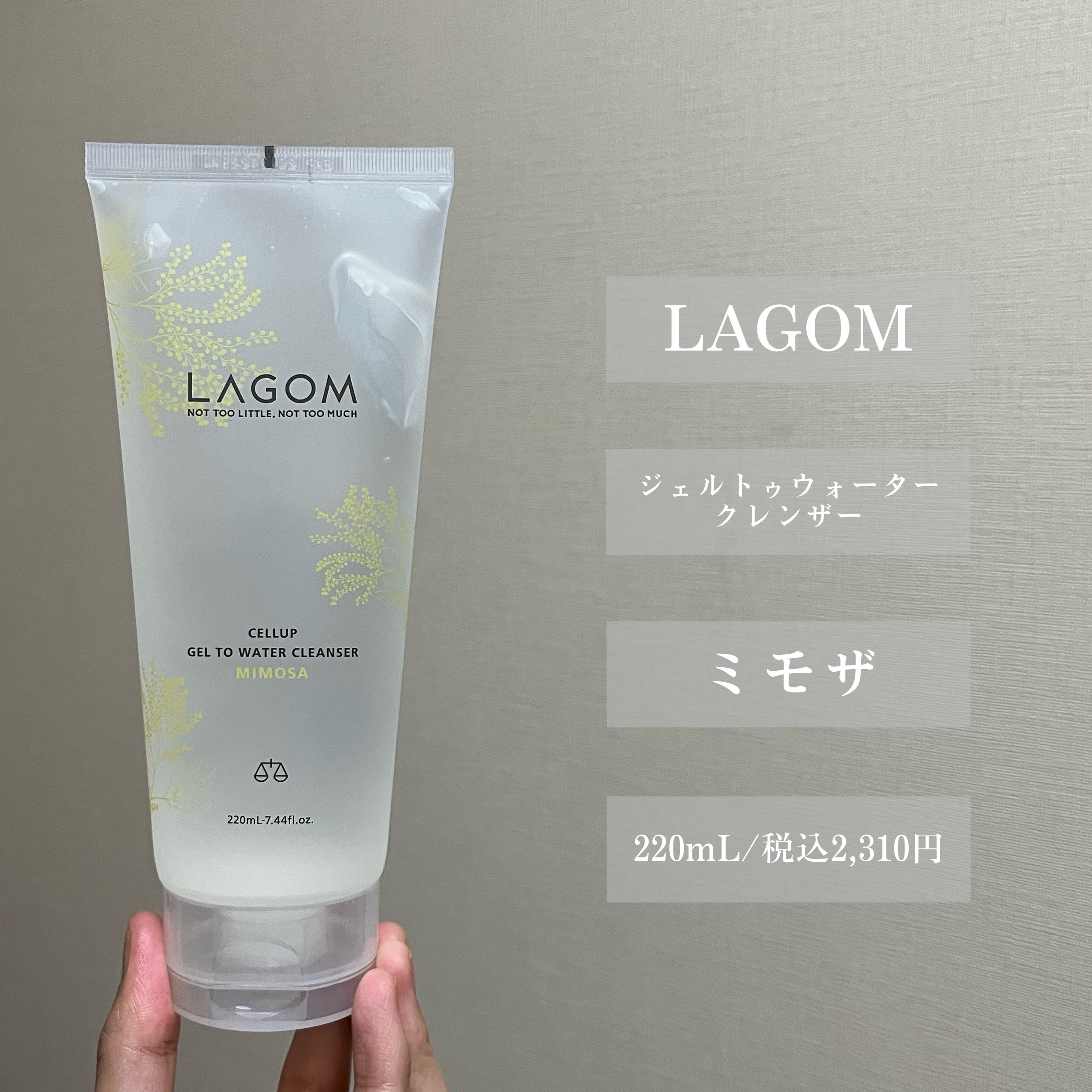 ジェルトゥウォーター クレンザー (MI) 2025（220mL）/LAGOM /その他洗顔料を使ったクチコミ（2枚目）