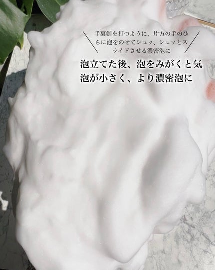 スキンコンディショニング洗顔/ファンケル/洗顔フォームを使ったクチコミ(6枚目)