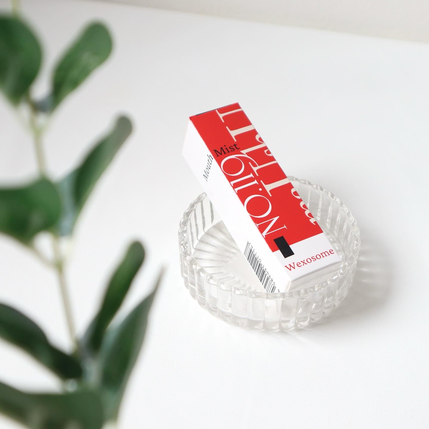 口腔内ケアミスト /No.119 maUshU/マウスウォッシュ・スプレーを使ったクチコミ（3枚目）