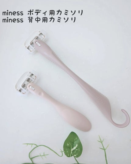 miness ボディ用カミソリ 替刃2個付/貝印/シェーバーを使ったクチコミ(1枚目)