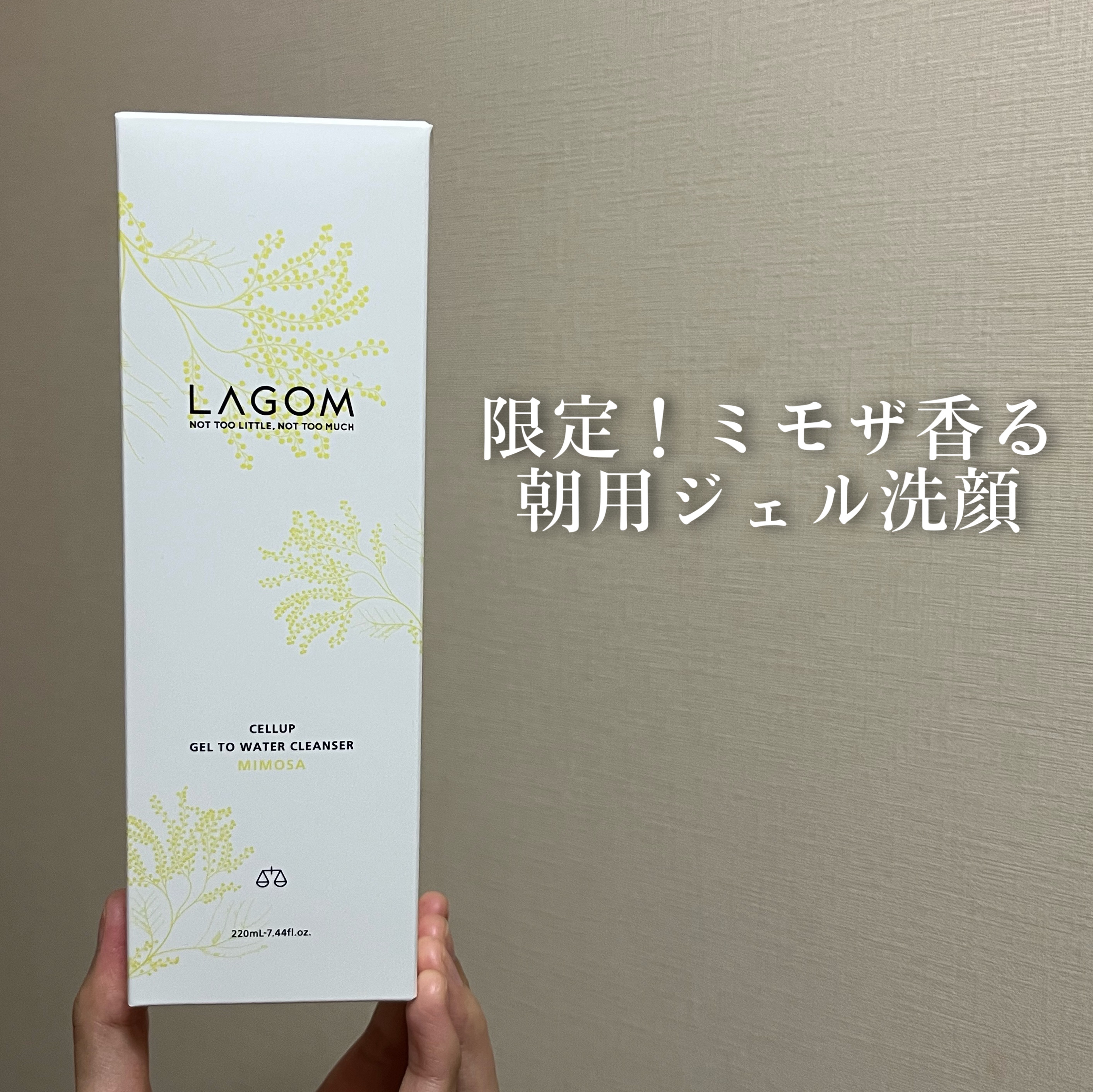 ジェルトゥウォーター クレンザー (MI) 2025（220mL）/LAGOM /その他洗顔料を使ったクチコミ（1枚目）