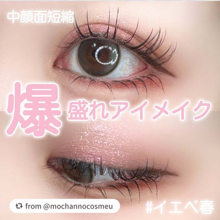 エクスプローラ12色 動物アイシャドウパレット/PERFECT DIARY/アイシャドウパレットを使ったクチコミ(1枚目)