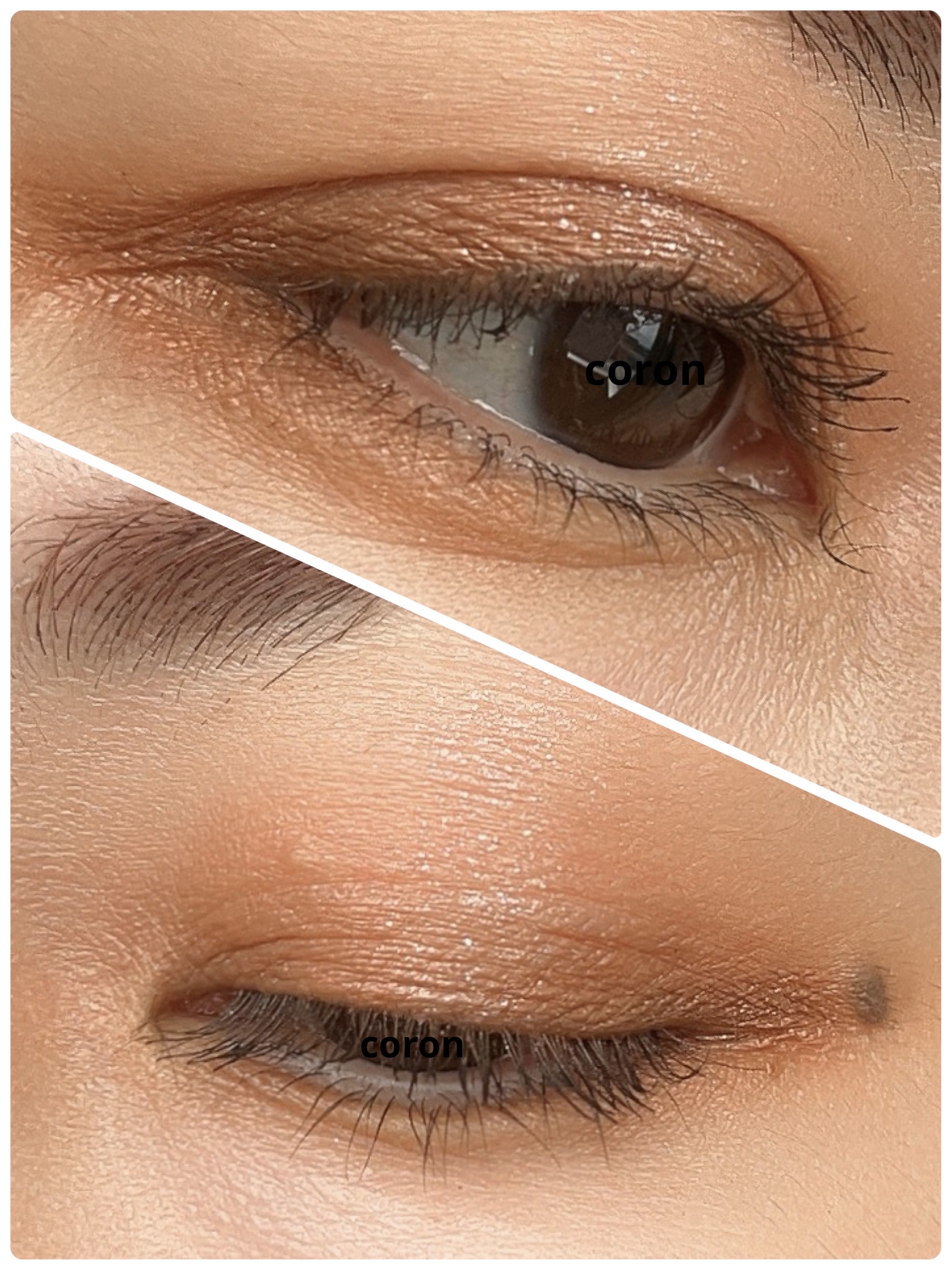 シグニチャー カラー アイズ/SUQQU/アイシャドウパレットを使ったクチコミ（2枚目）