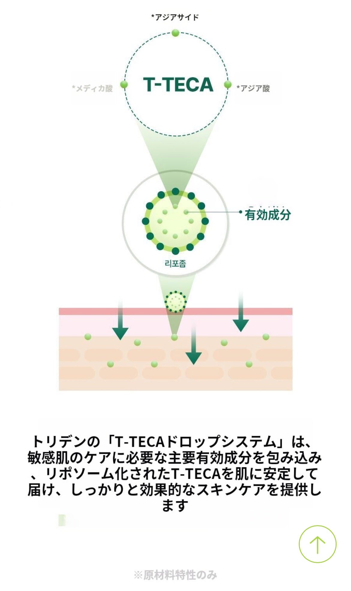 バランスフル シカマスク/Torriden/シートマスク・パックを使ったクチコミ(5枚目)