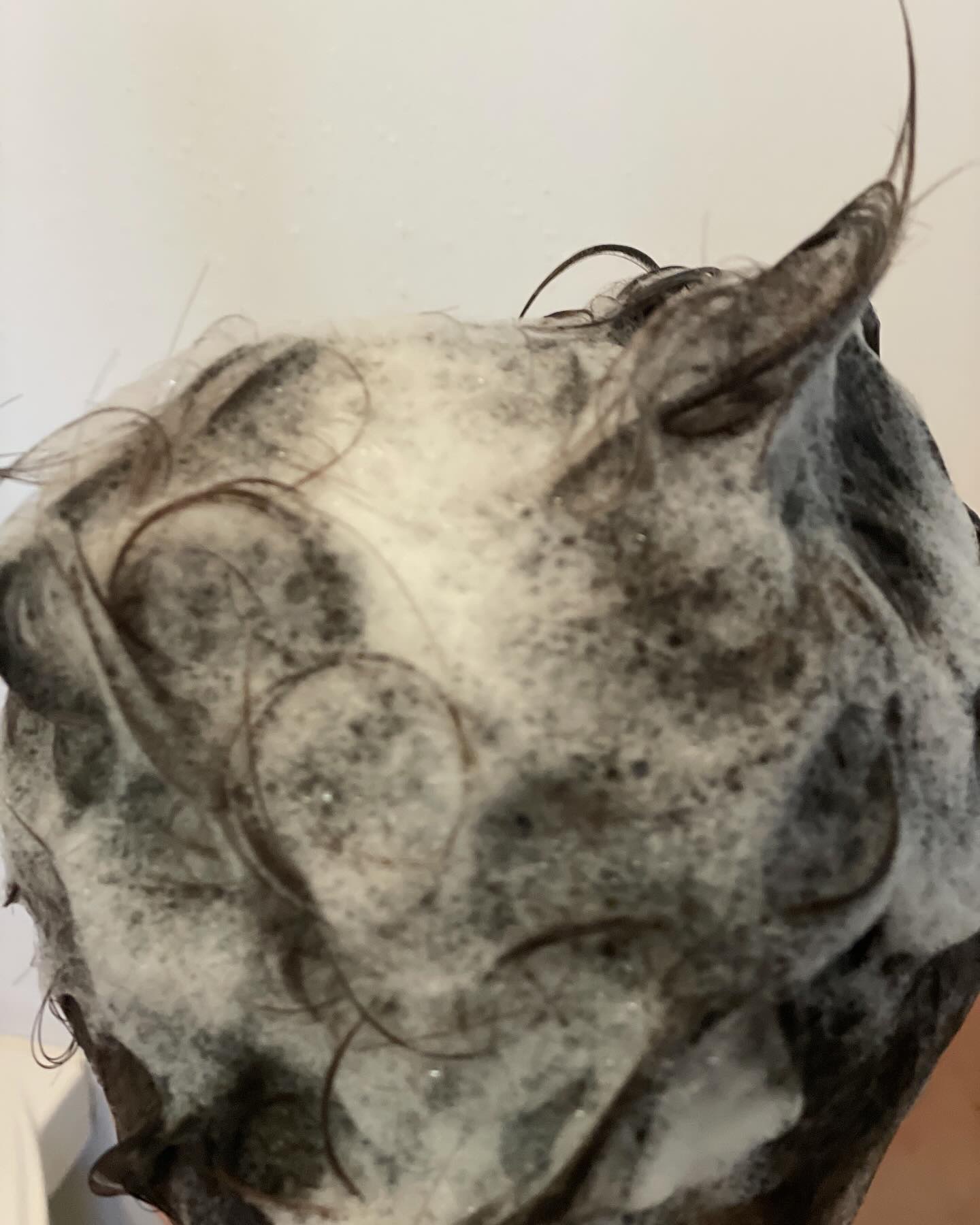 プルント　ヴェーリング美容液シャンプー／トリートメント/Purunt./シャンプー・コンディショナーを使ったクチコミ（3枚目）