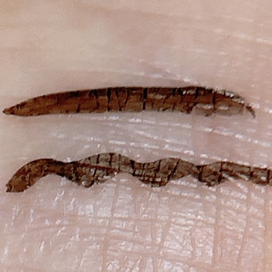 リキッドアイライナー/ミゼルエディ/リキッドアイライナーを使ったクチコミ（3枚目）