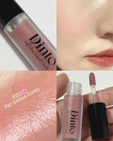 ブラーグロイリップティント/Dinto/リップティントを使ったクチコミ(4枚目)