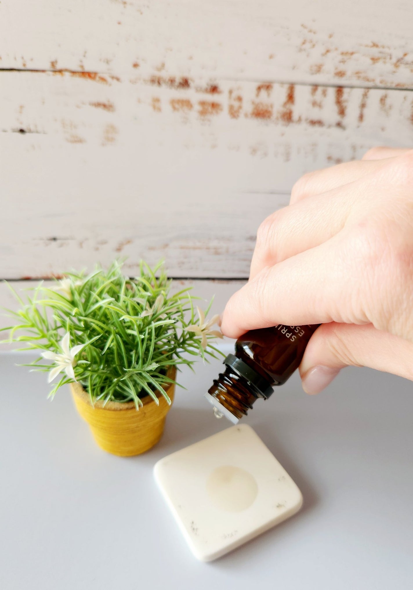 スプリングエッセンス マグノリア/@aroma/アロマオイルを使ったクチコミ(2枚目)