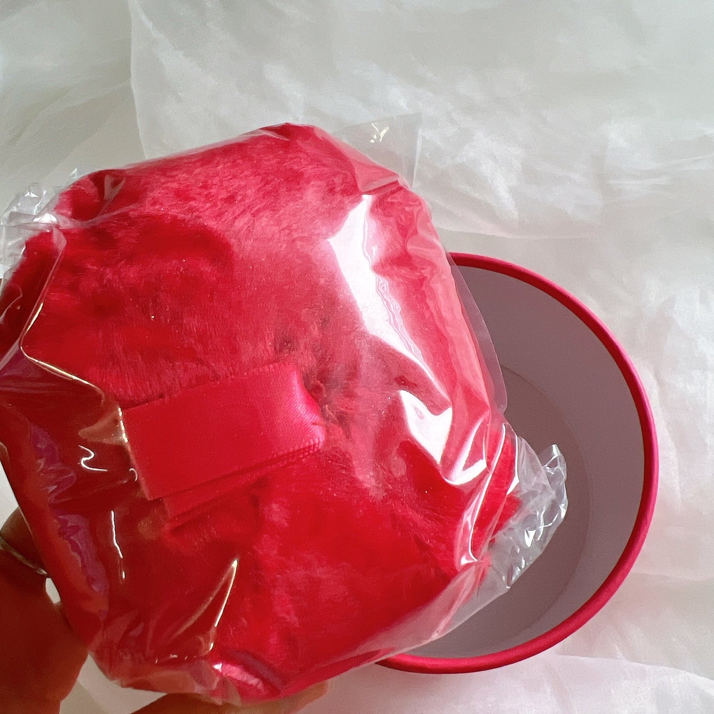 バグボディパウダー/WHOMEE/ネック・デコルテケアを使ったクチコミ(6枚目)