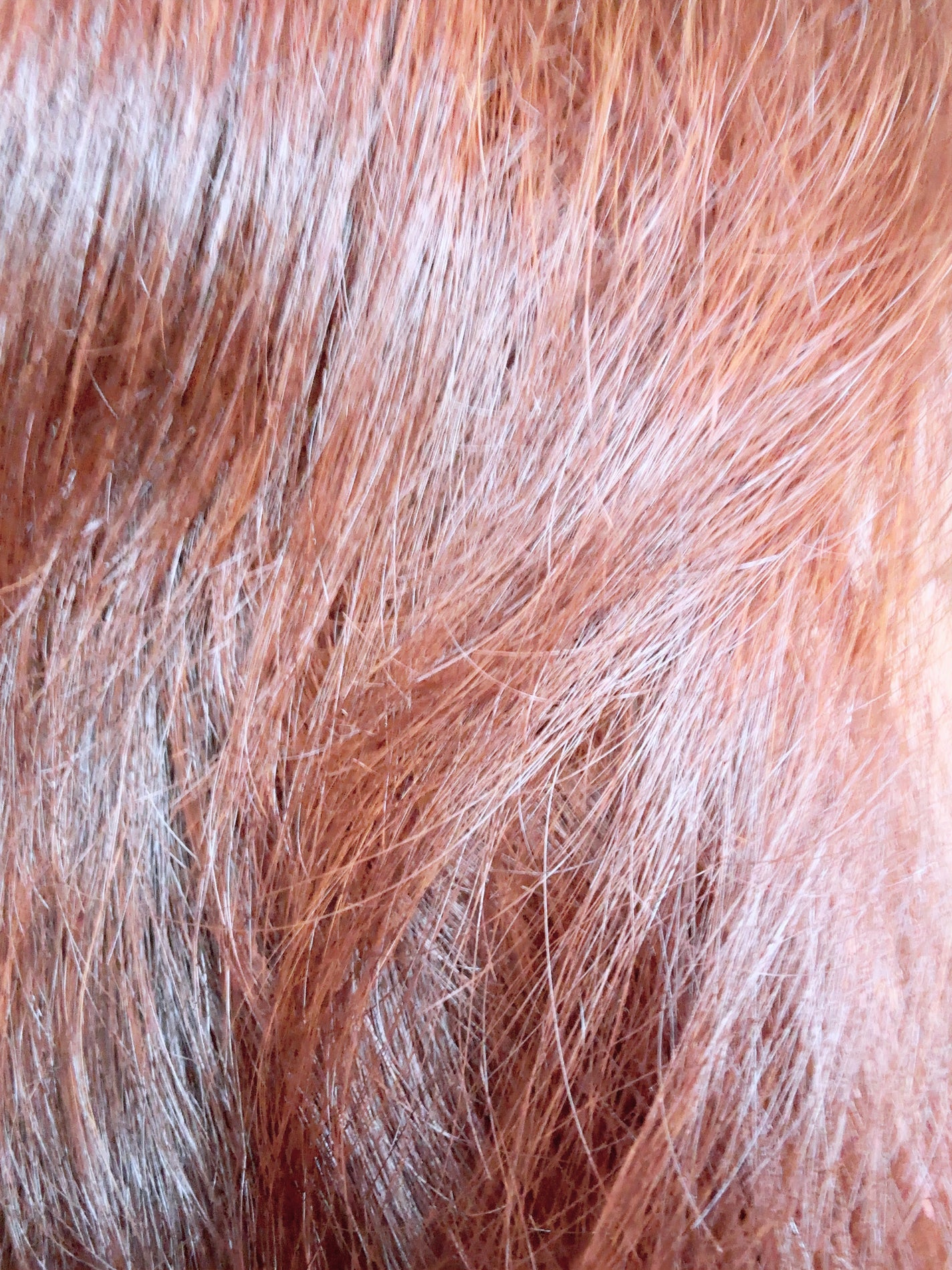 ウォーターベール モイストシャンプー/トリートメント/emplir/市販シャンプーを使ったクチコミ(5枚目)