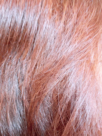 ウォーターベール モイストシャンプー/トリートメント/emplir/市販シャンプーを使ったクチコミ(5枚目)