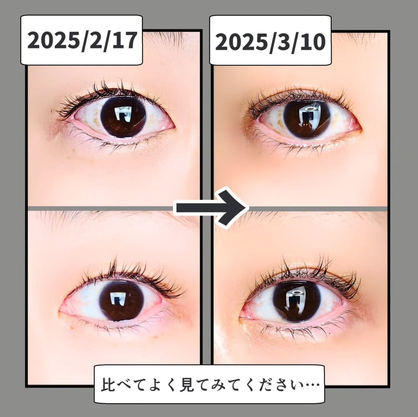 ラッシュアディクト アイラッシュ コンディショニング セラム アドバンス/soaddicted/まつげ美容液を使ったクチコミ(2枚目)