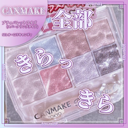 プティパレットアイズ(スパークリングタイプ)/キャンメイク/アイシャドウを使ったクチコミ(1枚目)