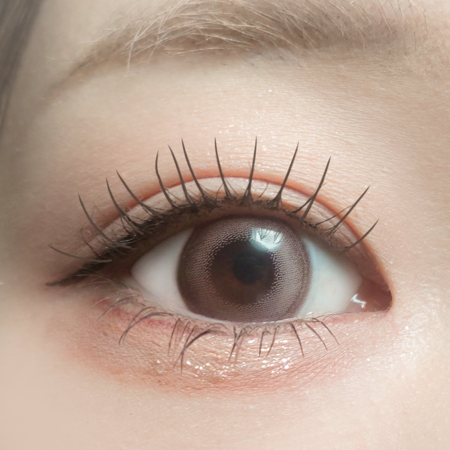 アイシャドウパレット/coou/アイシャドウパレットを使ったクチコミ（2枚目）