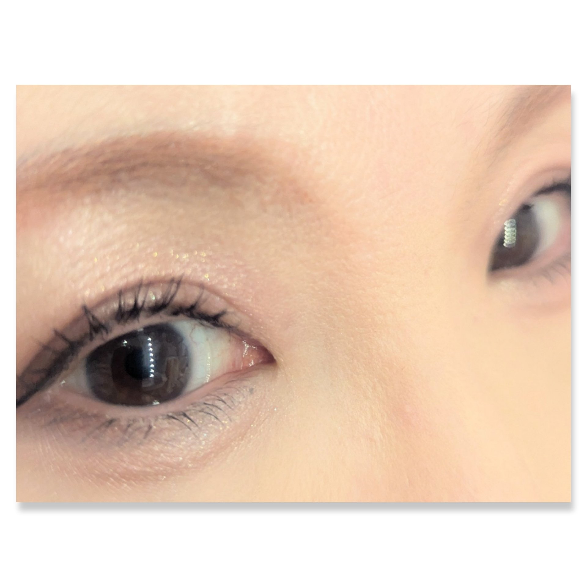 ワンダー スウィート アイシャドウ/リンメル ロンドン/アイシャドウパレットを使ったクチコミ（2枚目）