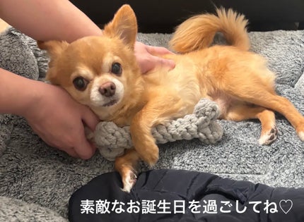 カラフルネイルズ/キャンメイク/マニキュアを使ったクチコミ(7枚目)