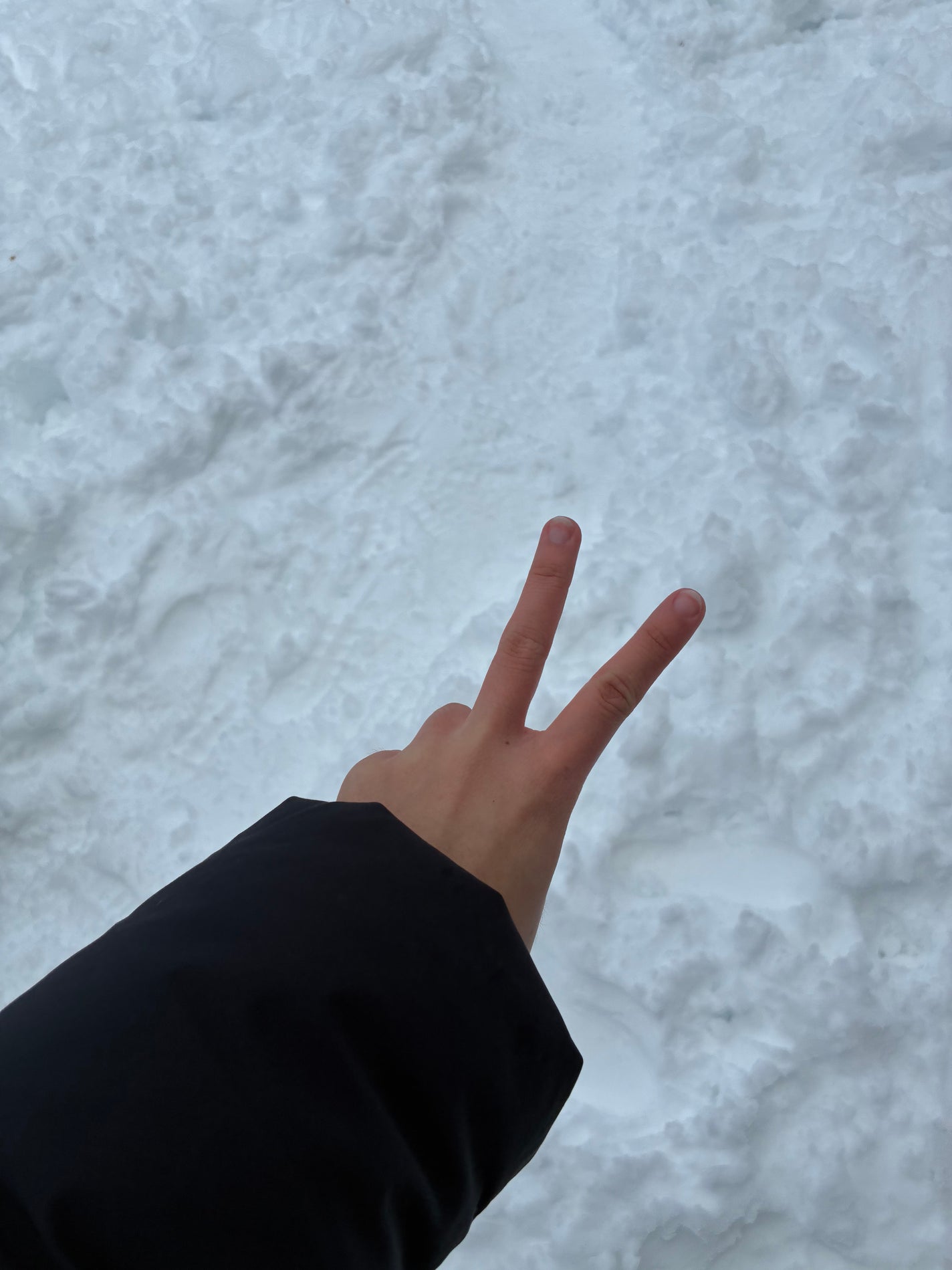 ç矜ððððžð on LIPS ãæ
è¡è¡ããŸããïŒéªã ããã âŠæã®æèŠãã ãã ãç¡ããªãðä¹
ãã¶..ãïŒ1æç®ïŒ