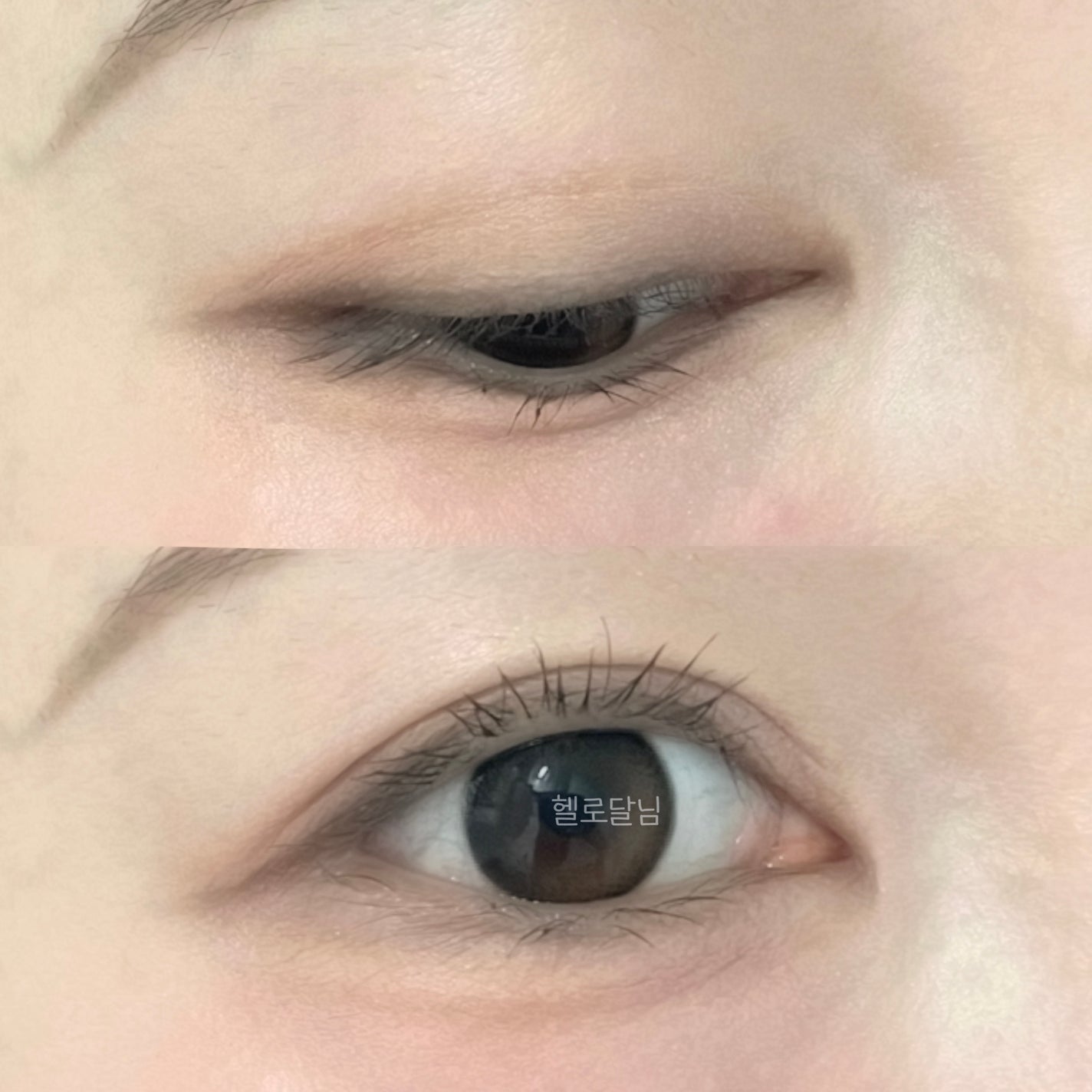 プレリュード・ディント ノスタルジア アイシャドウパレット/Dinto/アイシャドウパレットを使ったクチコミ(4枚目)