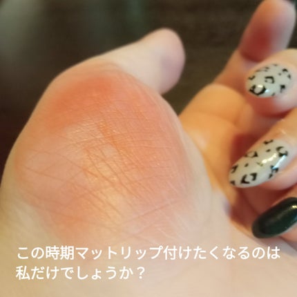 BRAYE LIPSLEEK BLUR 05 ハーディー(Hardy)/BRAYE/口紅の画像