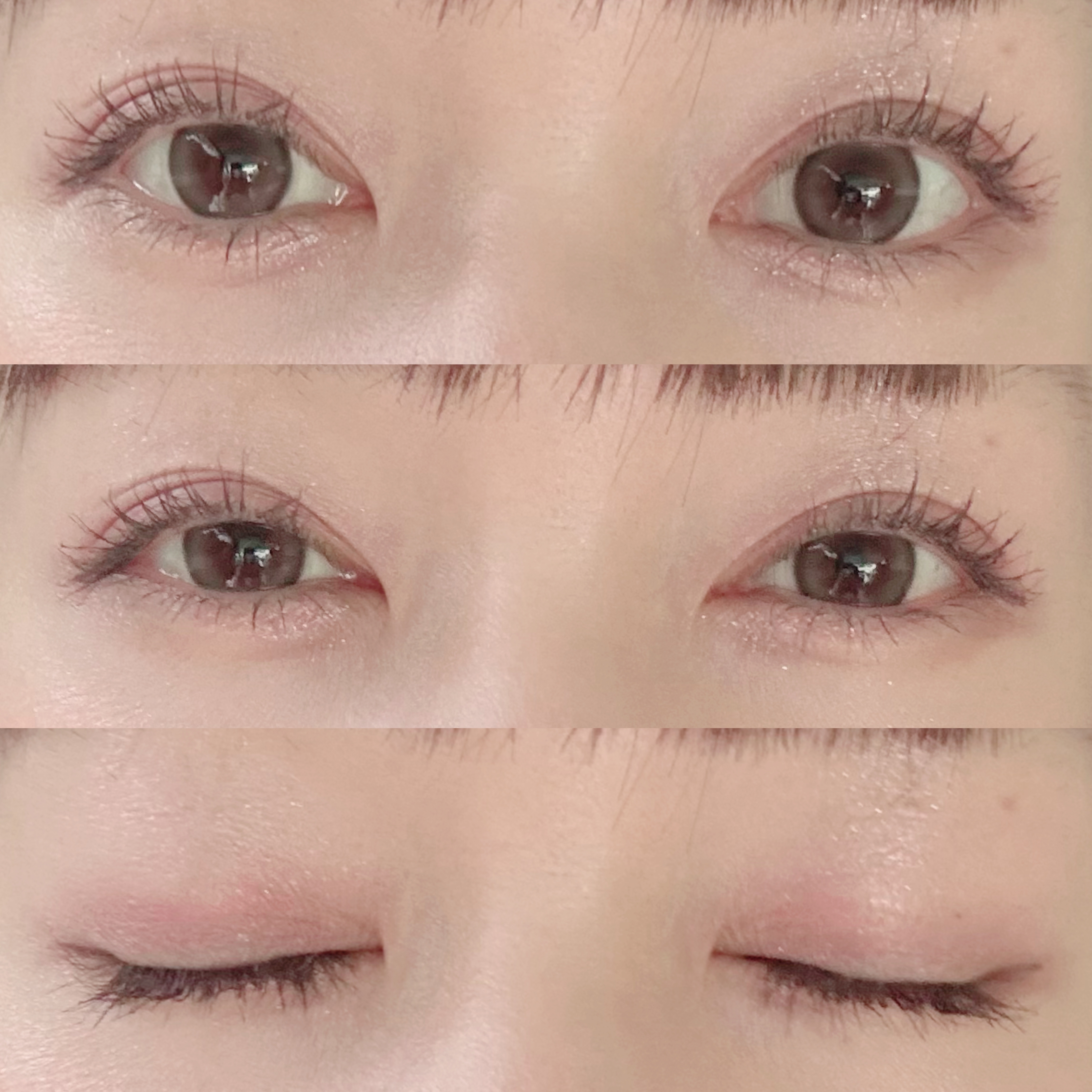 フェイススタイリスト n EX01 Lily Tutu/SNIDEL BEAUTY/アイシャドウパレットを使ったクチコミ（3枚目）