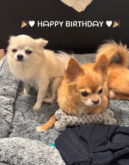 カラフルネイルズ/キャンメイク/マニキュアを使ったクチコミ(6枚目)