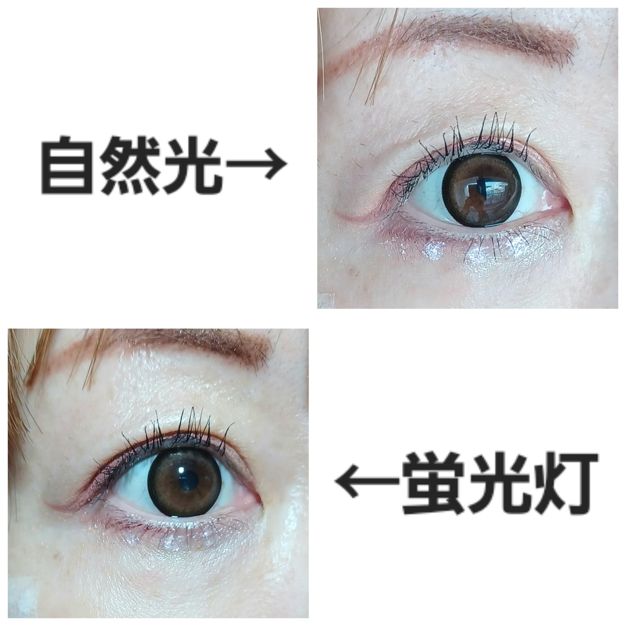 ケイト ピンポイントドットスタンプ/KATE/リキッドアイシャドウを使ったクチコミ（3枚目）