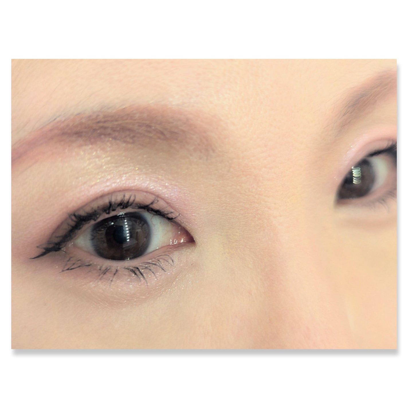 ソフトブラーリングアイパレット/wakemake/アイシャドウパレットを使ったクチコミ(2枚目)