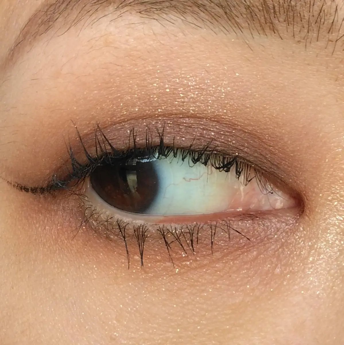 ニュアンスカラーアイズ/Enamor/アイシャドウパレットを使ったクチコミ（2枚目）