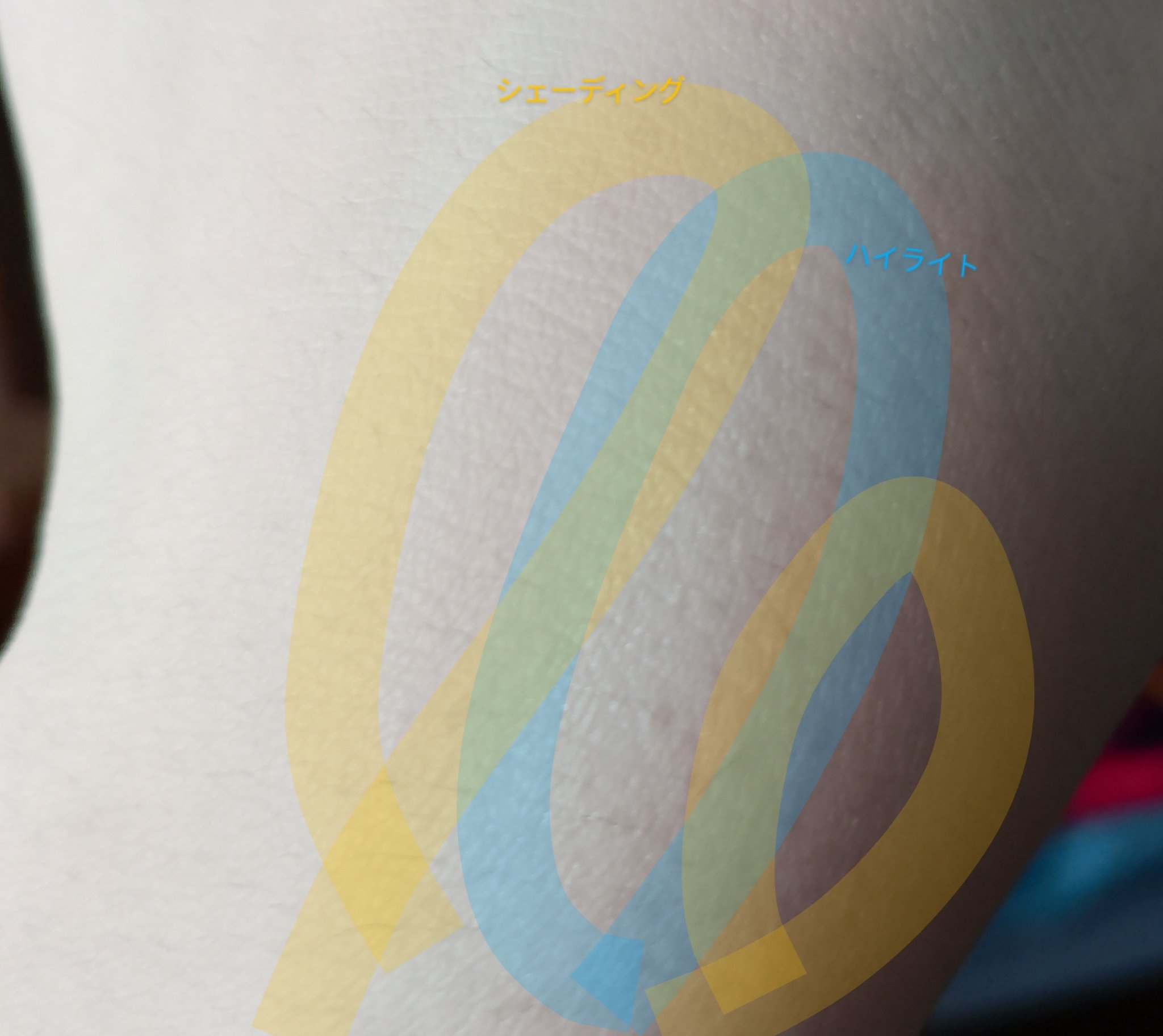 ハイライター/キャンメイク/パウダーハイライトを使ったクチコミ（2枚目）