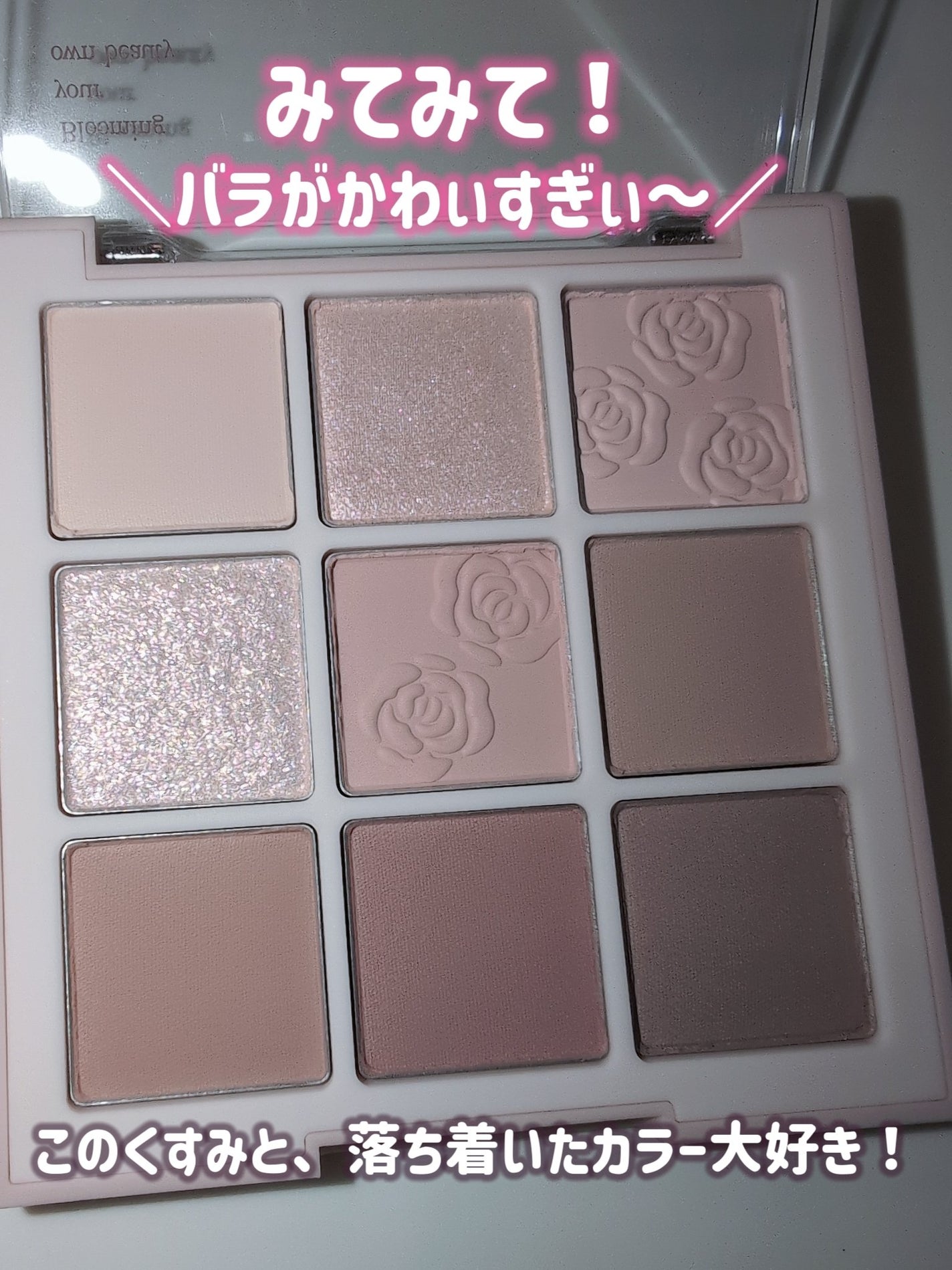 シャドウパレット/dasique/アイシャドウパレットを使ったクチコミ(5枚目)