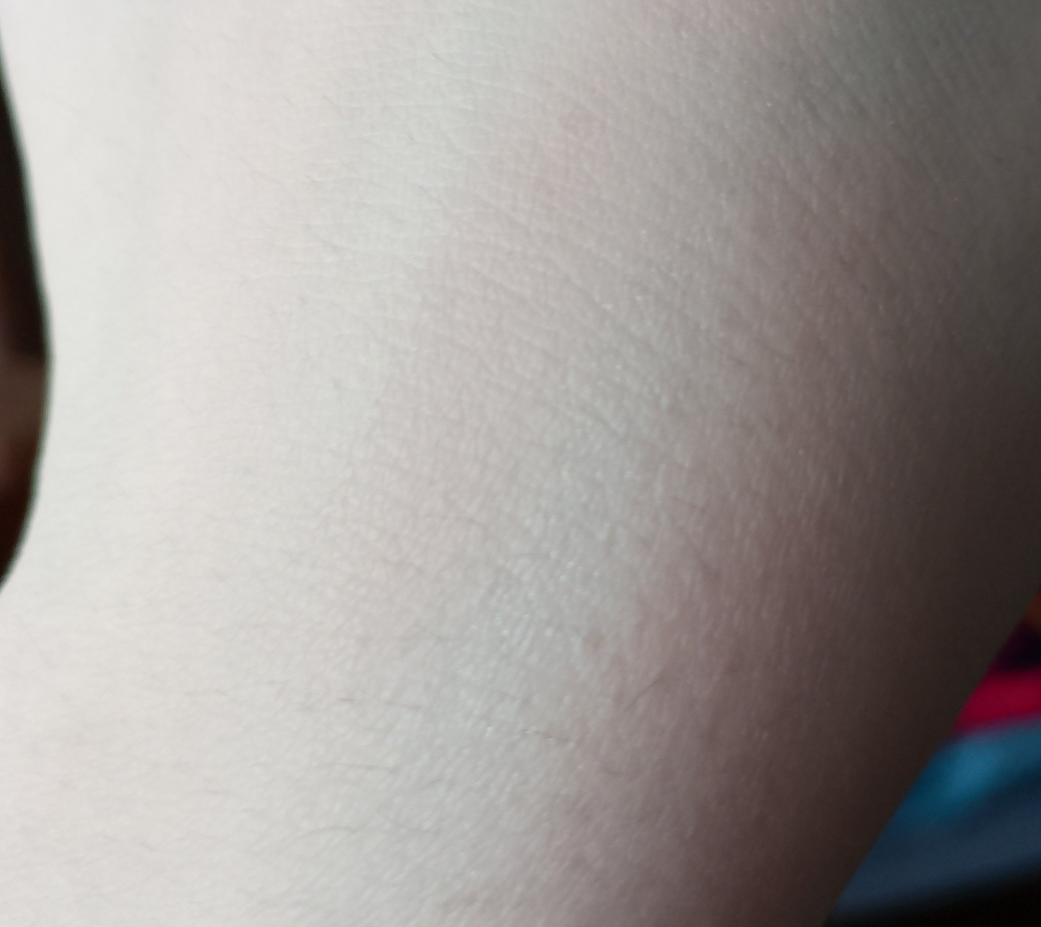 ハイライター/キャンメイク/パウダーハイライトを使ったクチコミ（1枚目）