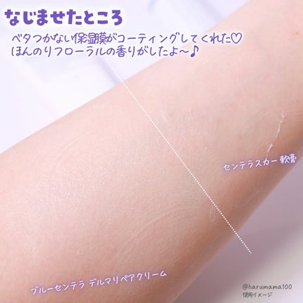 センテラスカー 軟膏 (オイントメント)/Mildlab/フェイスクリームを使ったクチコミ(4枚目)