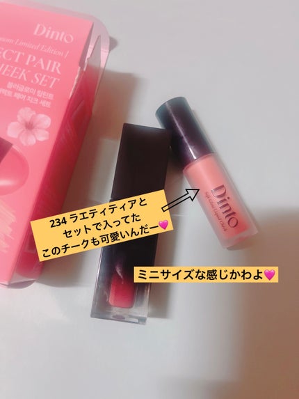 ブラーグロイリップティント/Dinto/リップティントを使ったクチコミ(5枚目)