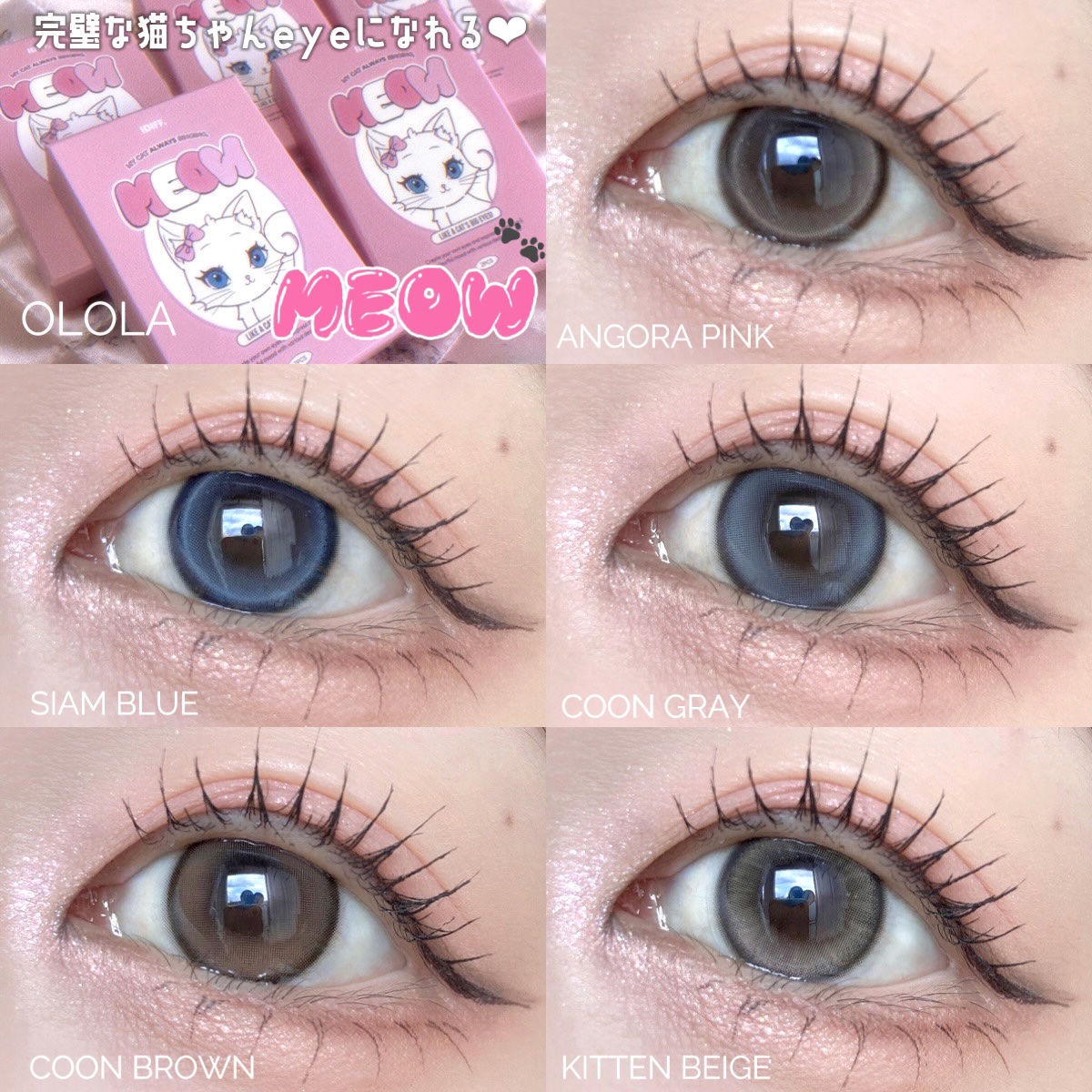 MEOW(ミヤオ) 1month/OLOLA/１ヶ月（１MONTH）カラコンを使ったクチコミ（1枚目）