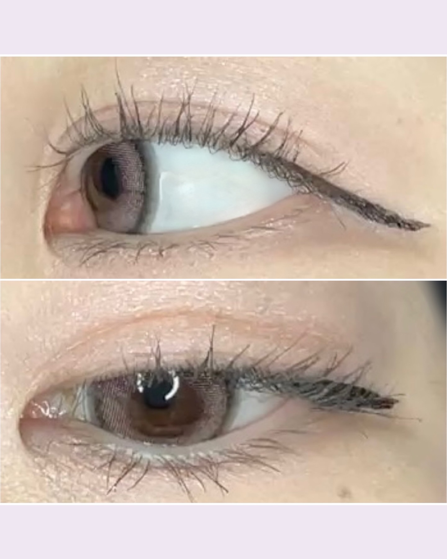 MOLAK 1day/MOLAK/ワンデー（１DAY）カラコンを使ったクチコミ（3枚目）