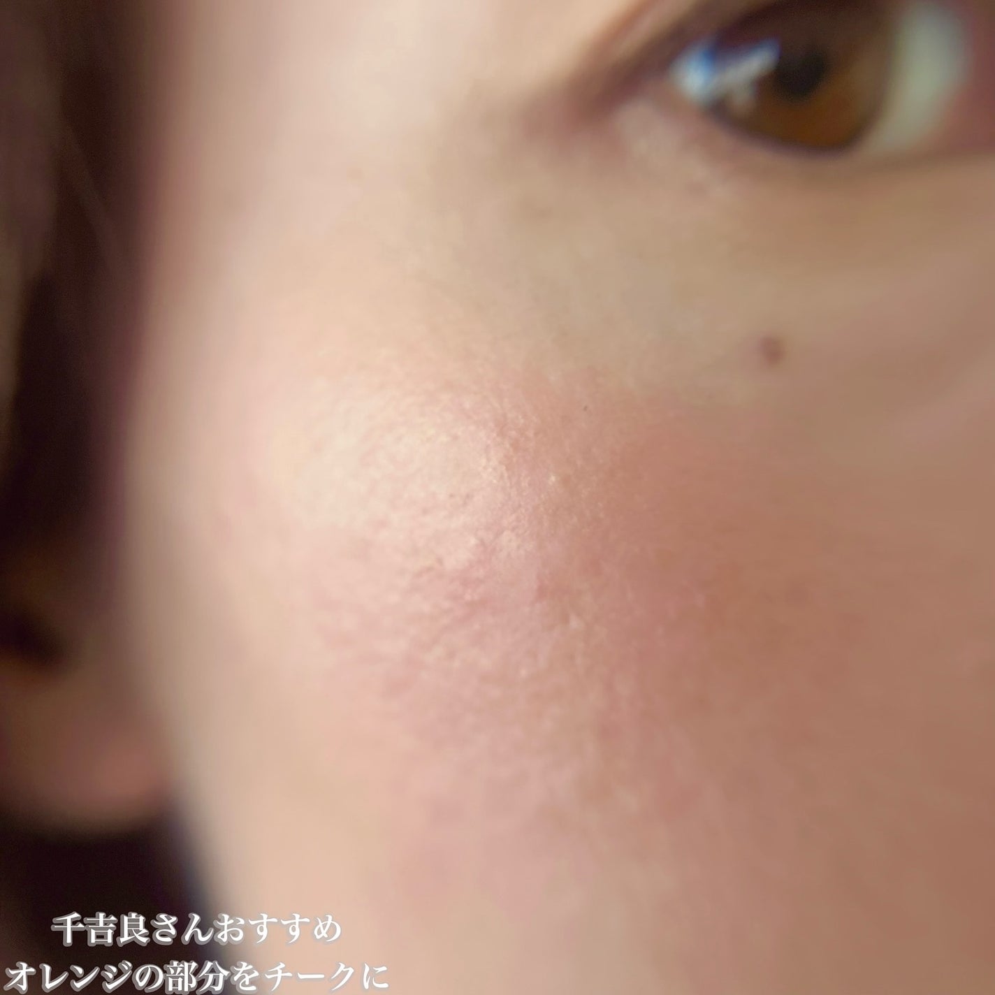 エクシア アイカラー ヴォロンテ/ALBION/アイシャドウパレットを使ったクチコミ(9枚目)