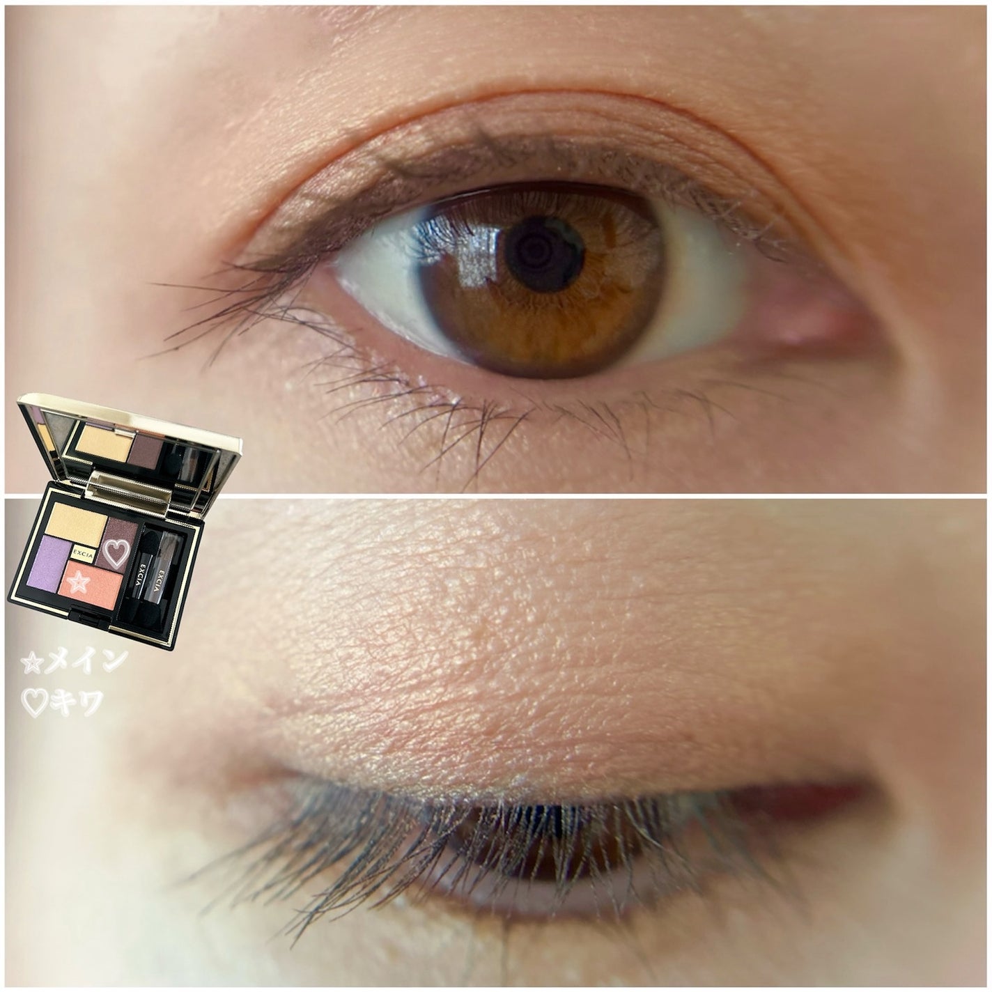 エクシア アイカラー ヴォロンテ/ALBION/アイシャドウパレットを使ったクチコミ(5枚目)