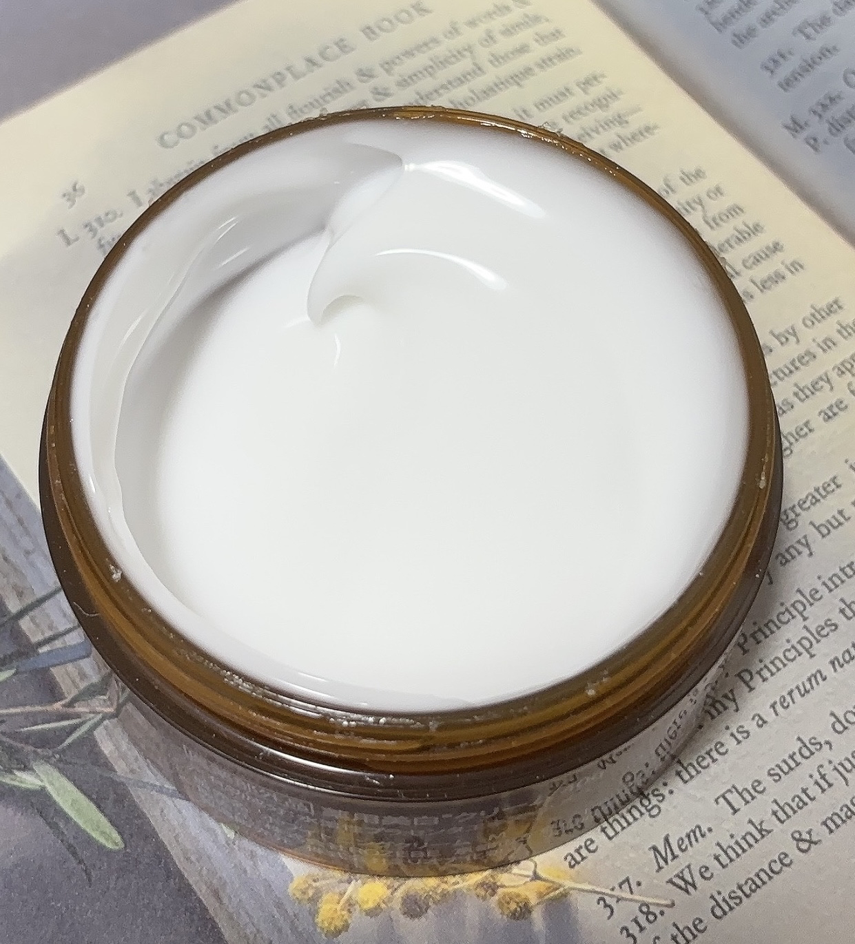 ロゼベ プラセンタエンリッチクリーム/ROZEBE/フェイスクリームを使ったクチコミ（3枚目）