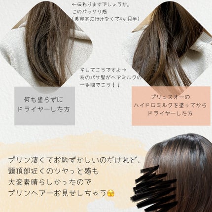 プリュスオー ハイドロミルク/plus eau/ヘアミルクを使ったクチコミ(3枚目)