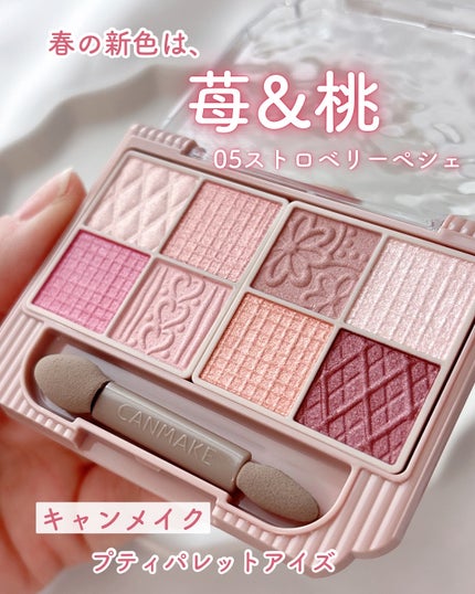 プティパレットアイズ/キャンメイク/パウダーアイシャドウを使ったクチコミ(1枚目)