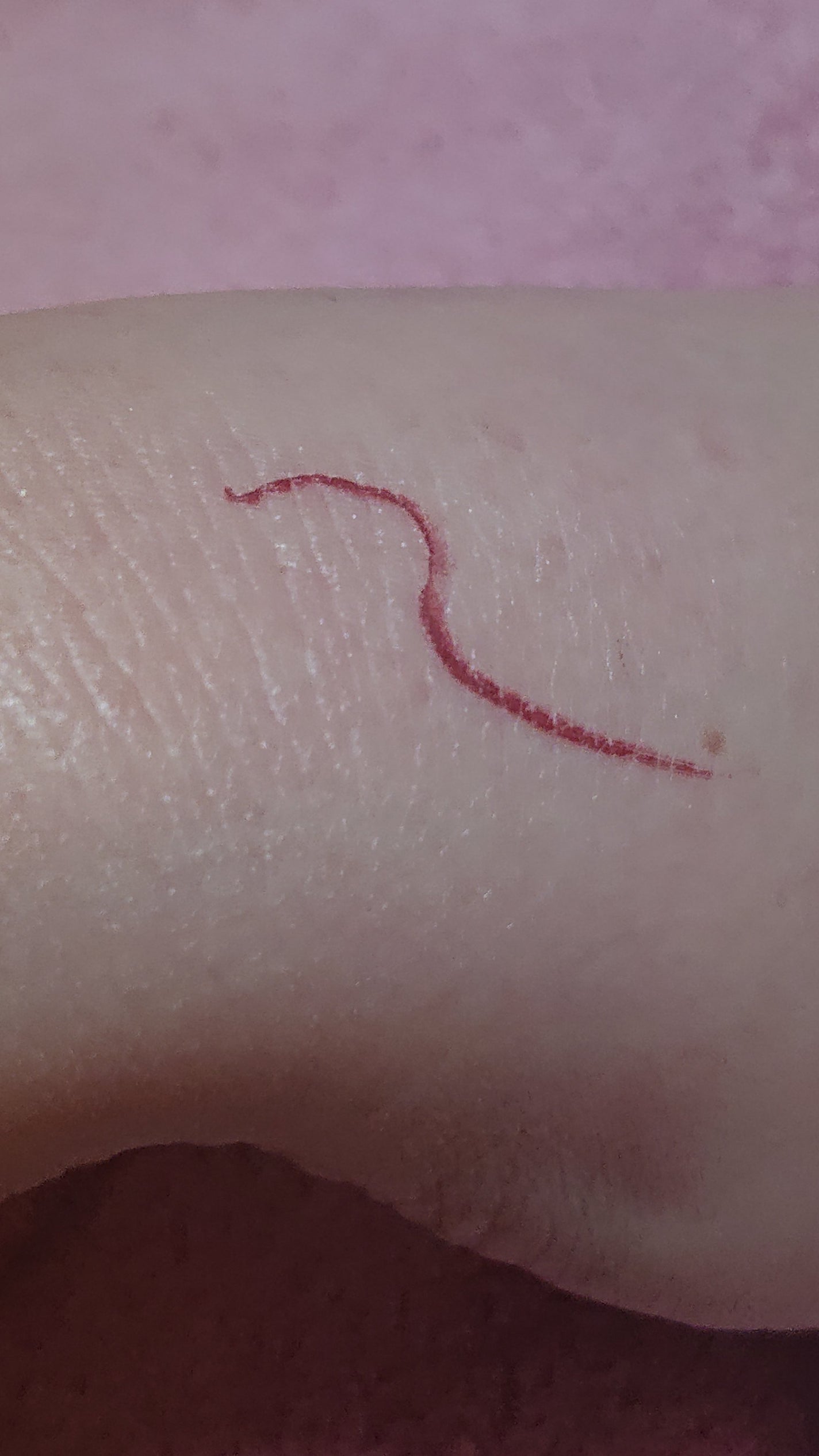 スキルレスライナー/LUMIURGLAS/リキッドアイライナーを使ったクチコミ(3枚目)